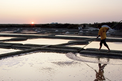 Salines De Guerande