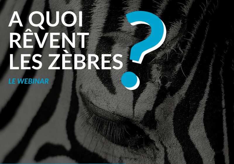 A Quoi Revent Les Zebres : le webinar Vénétis
