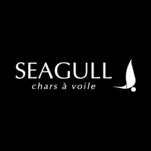 Seagull