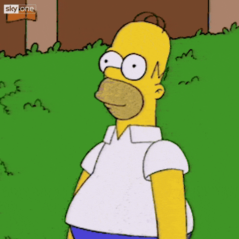 Giphy Homer Haie